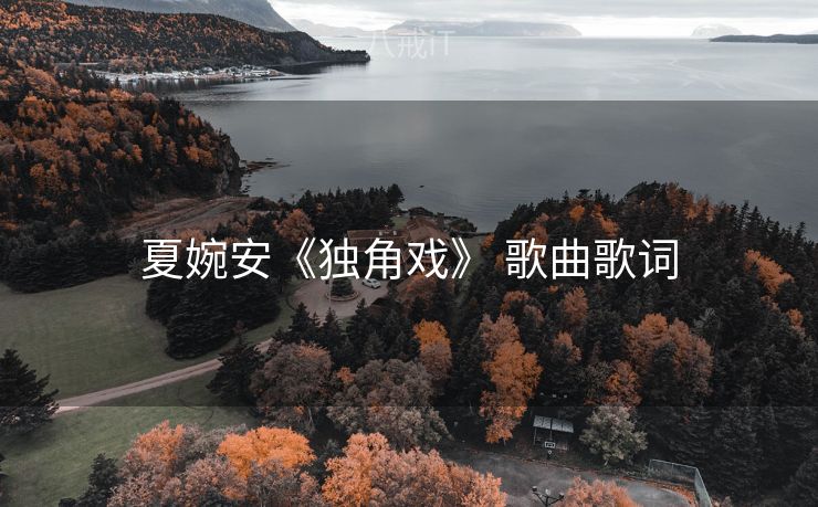 夏婉安《独角戏》 歌曲歌词