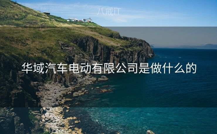 华域汽车电动有限公司是做什么的