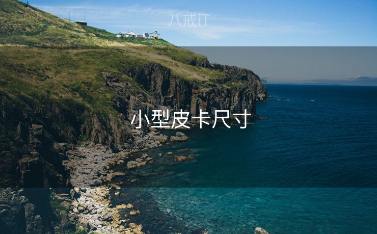  小型皮卡尺寸