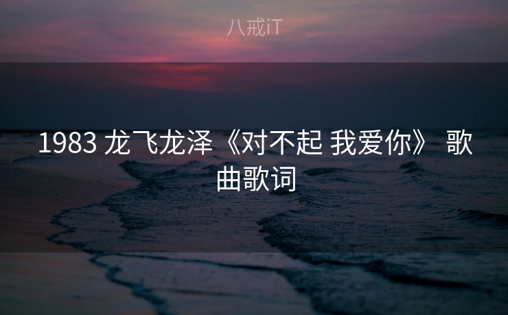 1983 龙飞龙泽《对不起 我爱你》 歌曲歌词