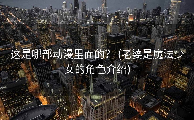 这是哪部动漫里面的？ (老婆是魔法少女的角色介绍)