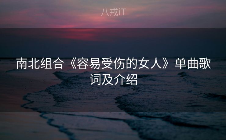 南北组合《容易受伤的女人》单曲歌词及介绍