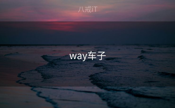 way车子