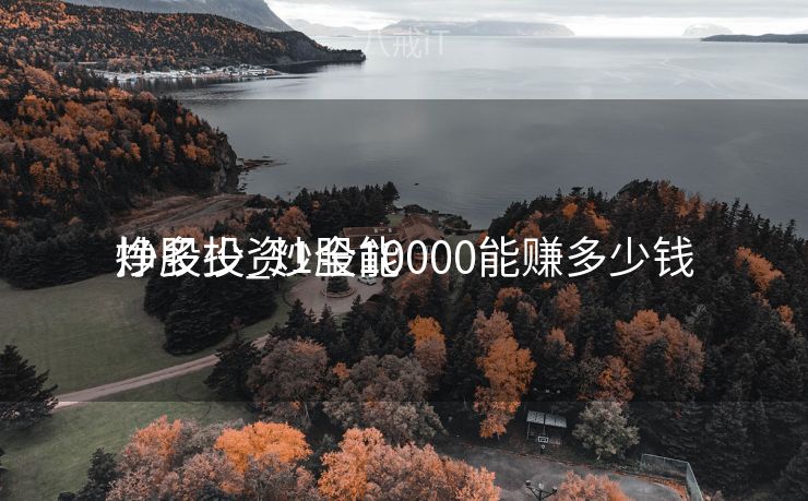 炒股投资1全能
挣多少_炒股10000能赚多少钱
