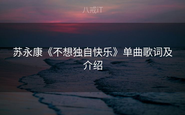 苏永康《不想独自快乐》单曲歌词及介绍