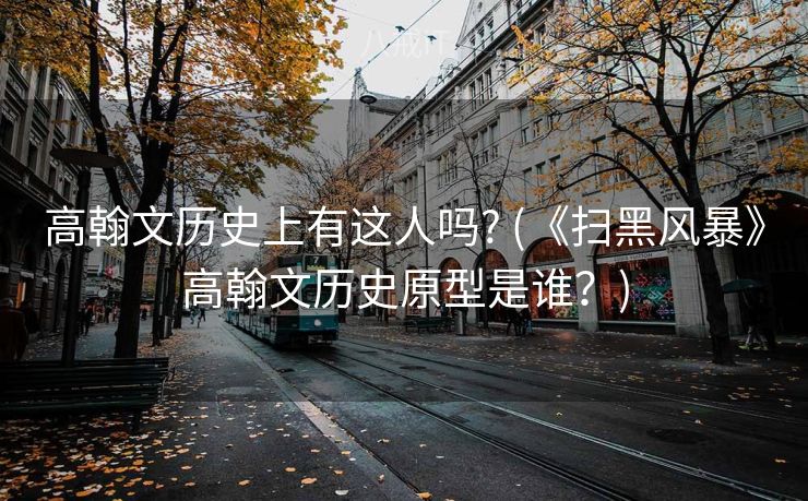 高翰文历史上有这人吗? (《扫黑风暴》高翰文历史原型是谁？)