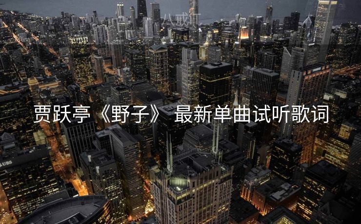 贾跃亭《野子》 最新单曲试听歌词