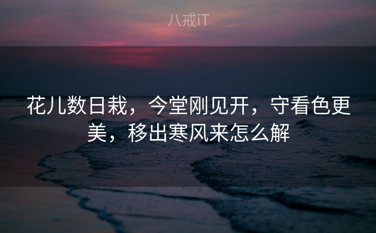 花儿数日栽，今堂刚见开，守看色更美，移出寒风来怎么解