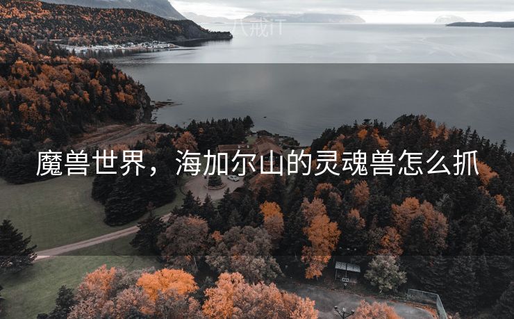 魔兽世界，海加尔山的灵魂兽怎么抓