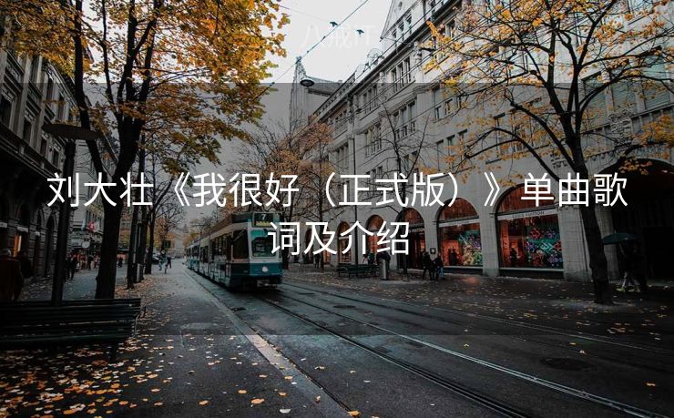 刘大壮《我很好（正式版）》单曲歌词及介绍
