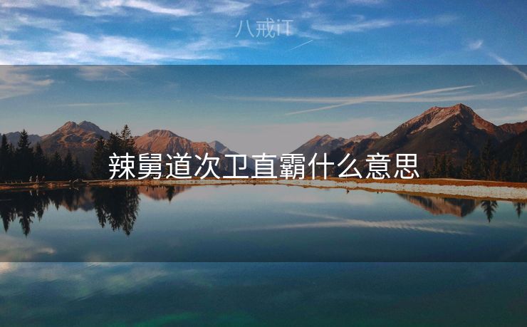 辣舅道次卫直霸什么意思