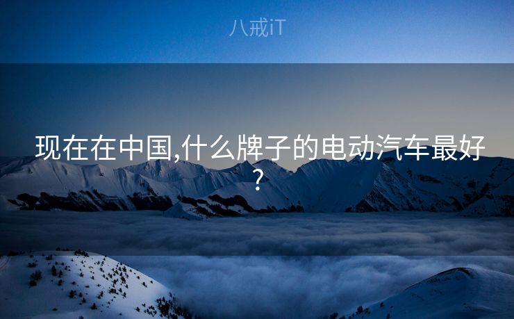  现在在中国,什么牌子的电动汽车最好?