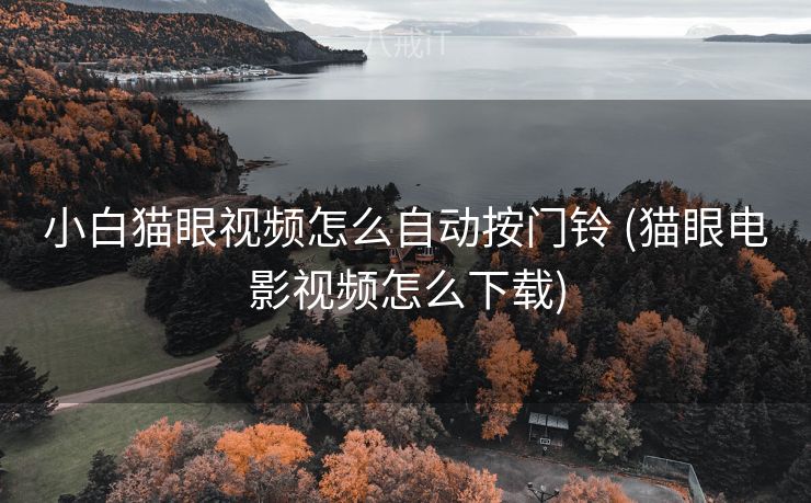 小白猫眼视频怎么自动按门铃 (猫眼电影视频怎么下载)