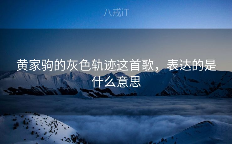 黄家驹的灰色轨迹这首歌，表达的是什么意思