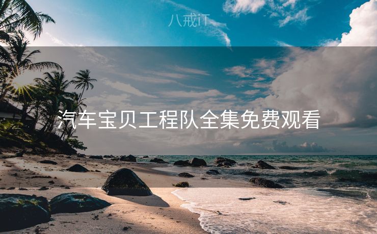 汽车宝贝工程队全集免费观看