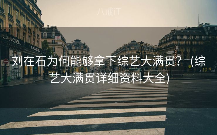 刘在石为何能够拿下综艺大满贯？ (综艺大满贯详细资料大全)