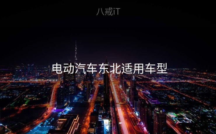  电动汽车东北适用车型