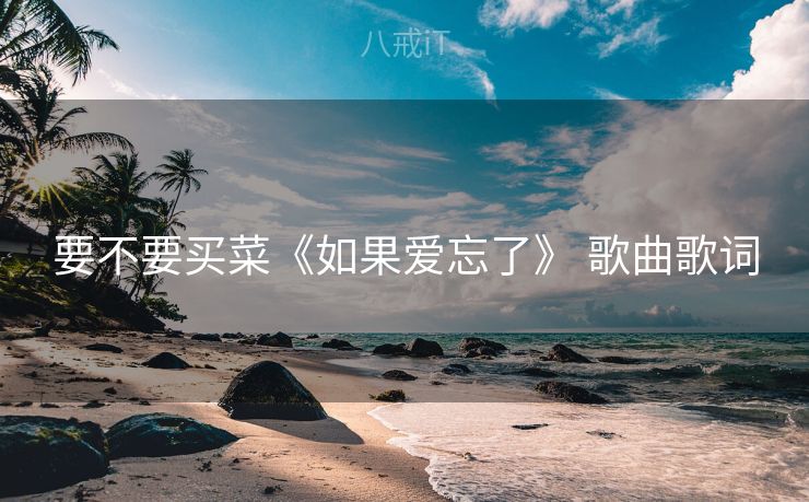 要不要买菜《如果爱忘了》 歌曲歌词