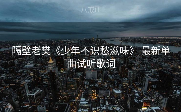 隔壁老樊《少年不识愁滋味》 最新单曲试听歌词