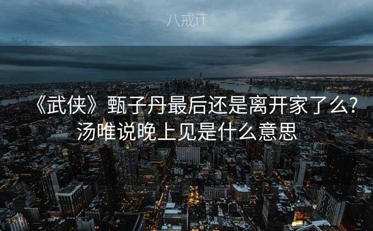 《武侠》甄子丹最后还是离开家了么?汤唯说晚上见是什么意思