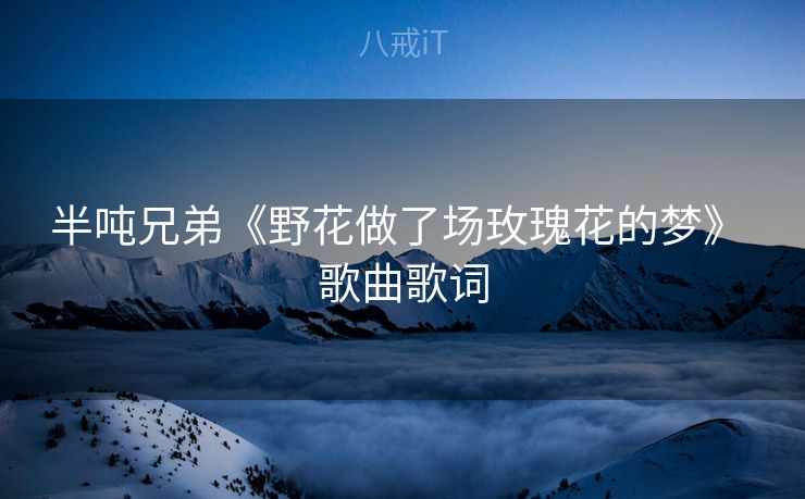 半吨兄弟《野花做了场玫瑰花的梦》 歌曲歌词