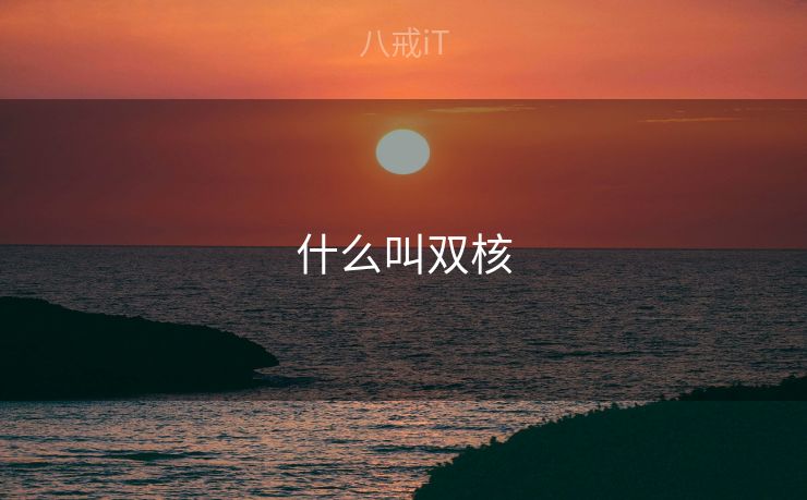 什么叫双核