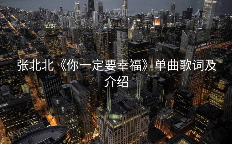 张北北《你一定要幸福》单曲歌词及介绍