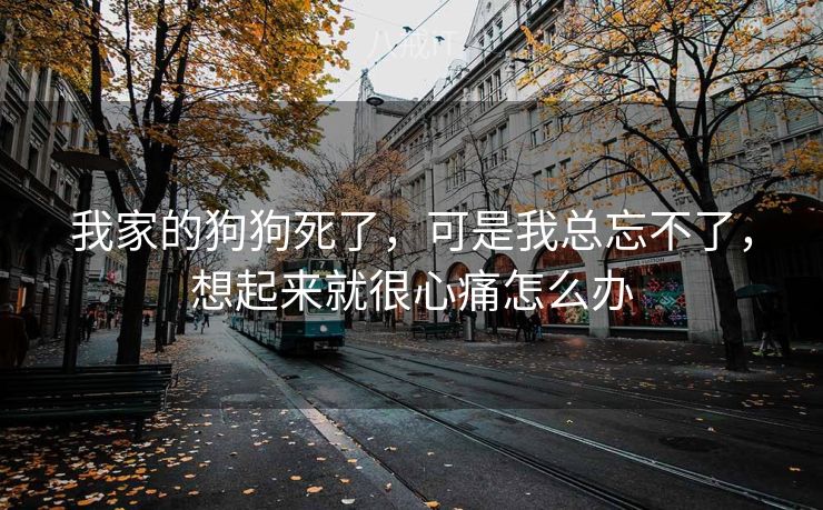 我家的狗狗死了，可是我总忘不了，想起来就很心痛怎么办