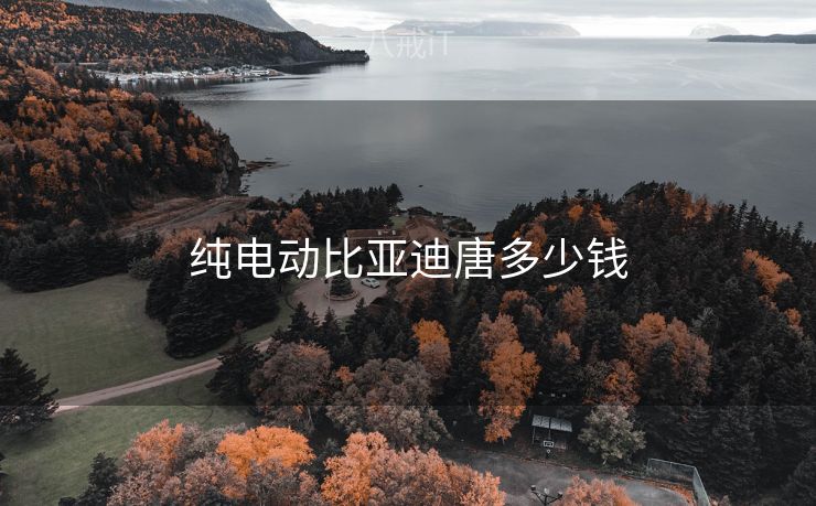 纯电动比亚迪唐多少钱