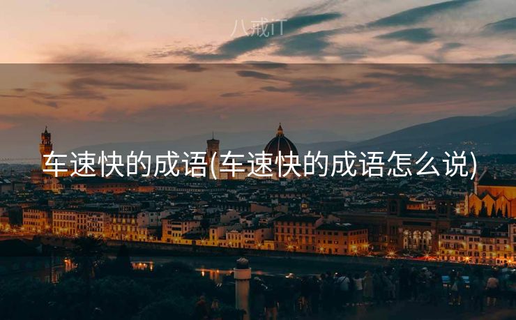 车速快的成语(车速快的成语怎么说)