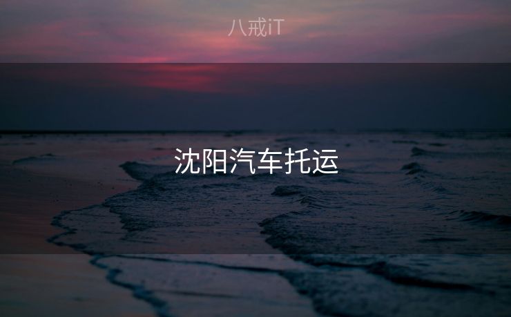 沈阳汽车托运