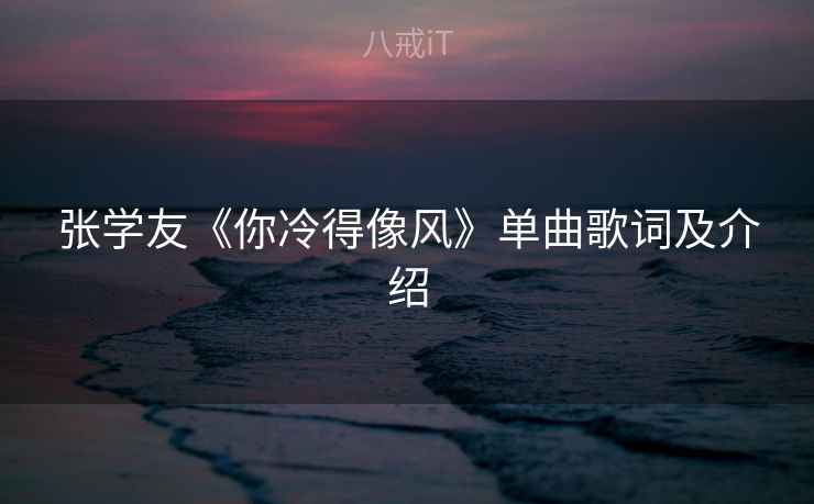 张学友《你冷得像风》单曲歌词及介绍