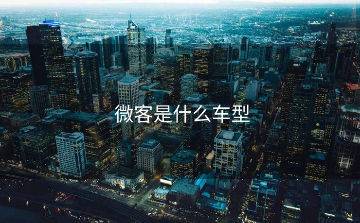  微客是什么车型