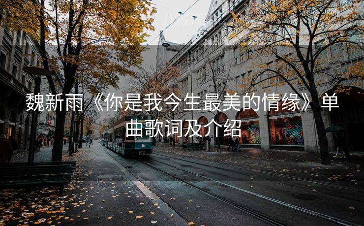魏新雨《你是我今生最美的情缘》单曲歌词及介绍