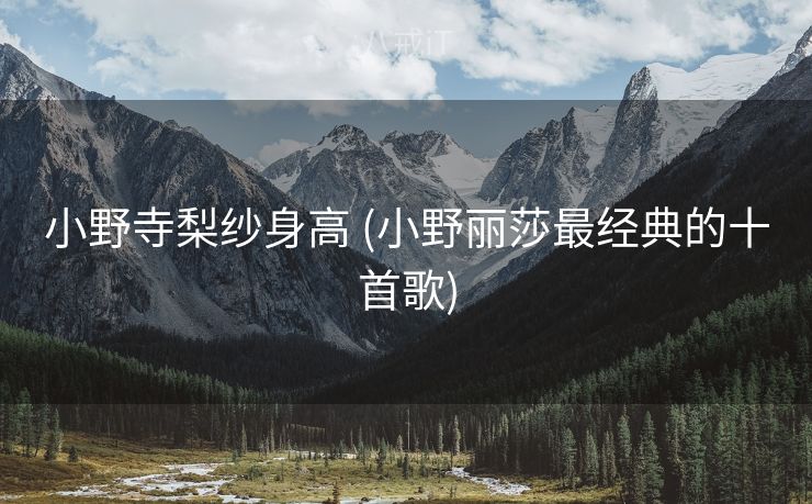 小野寺梨纱身高 (小野丽莎最经典的十首歌)