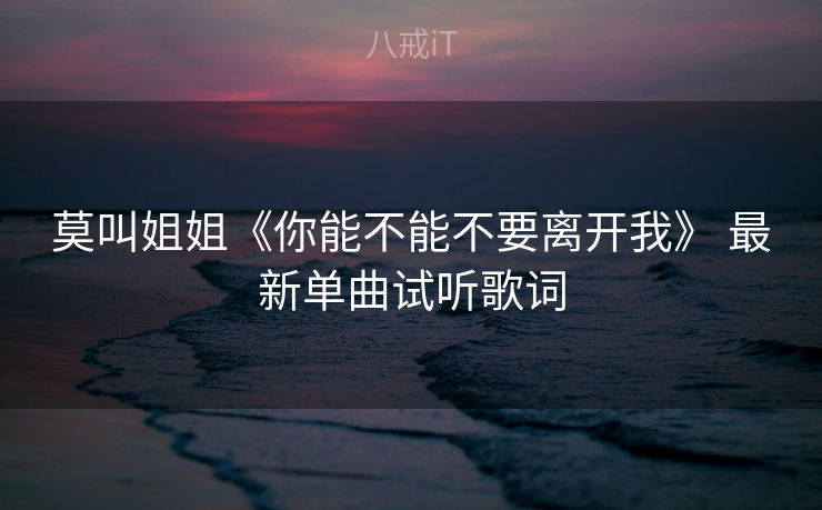 莫叫姐姐《你能不能不要离开我》 最新单曲试听歌词