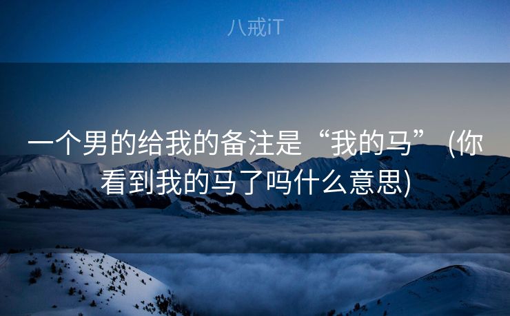 一个男的给我的备注是“我的马” (你看到我的马了吗什么意思)