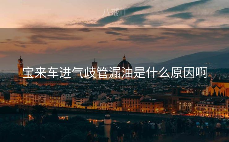 宝来车进气歧管漏油是什么原因啊