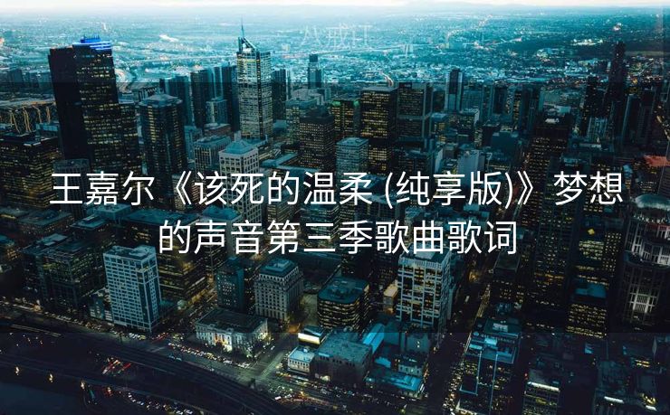 王嘉尔《该死的温柔 (纯享版)》梦想的声音第三季歌曲歌词