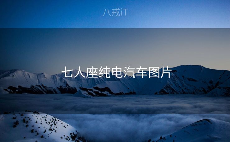  七人座纯电汽车图片