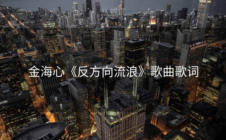 金海心《反方向流浪》歌曲歌词