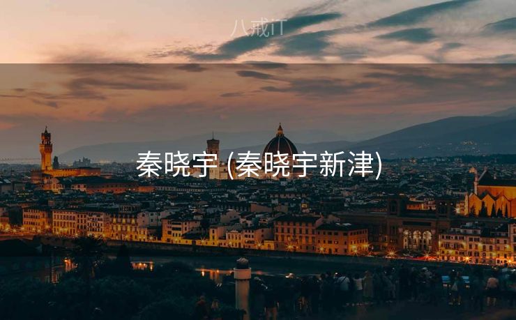 秦晓宇 (秦晓宇新津)