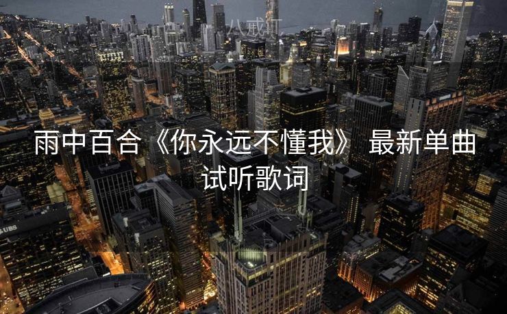 雨中百合《你永远不懂我》 最新单曲试听歌词