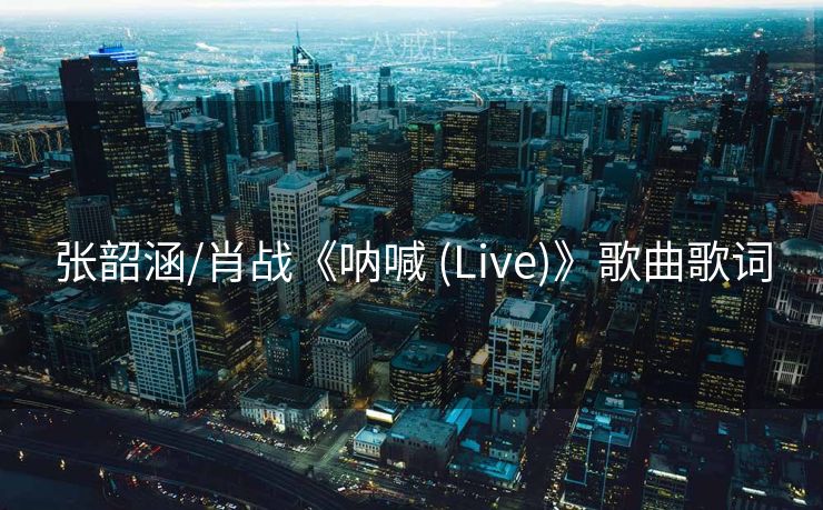 张韶涵/肖战《呐喊 (Live)》歌曲歌词