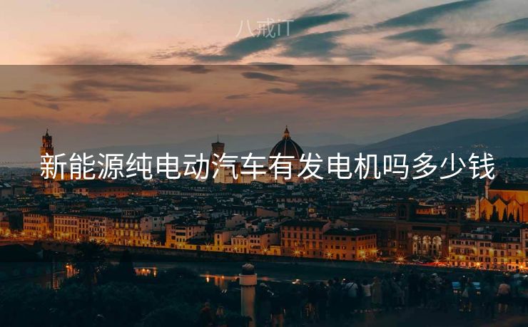  新能源纯电动汽车有发电机吗多少钱