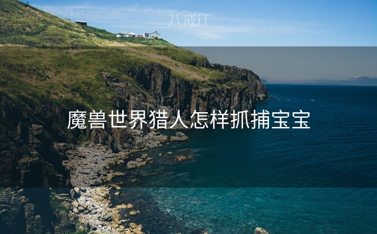 魔兽世界猎人怎样抓捕宝宝