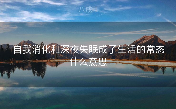 自我消化和深夜失眠成了生活的常态什么意思