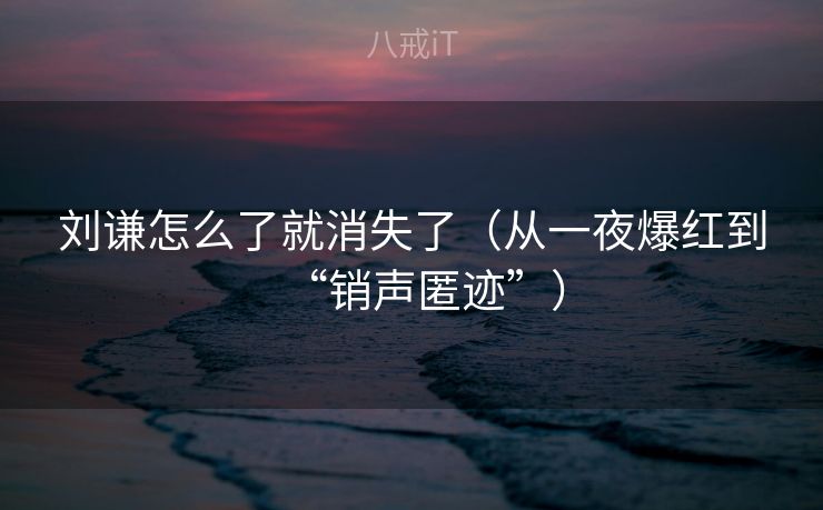 刘谦怎么了就消失了（从一夜爆红到“销声匿迹”）