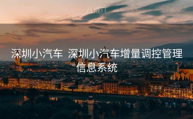 深圳小汽车  深圳小汽车增量调控管理信息系统