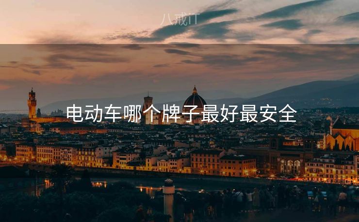 电动车哪个牌子最好最安全